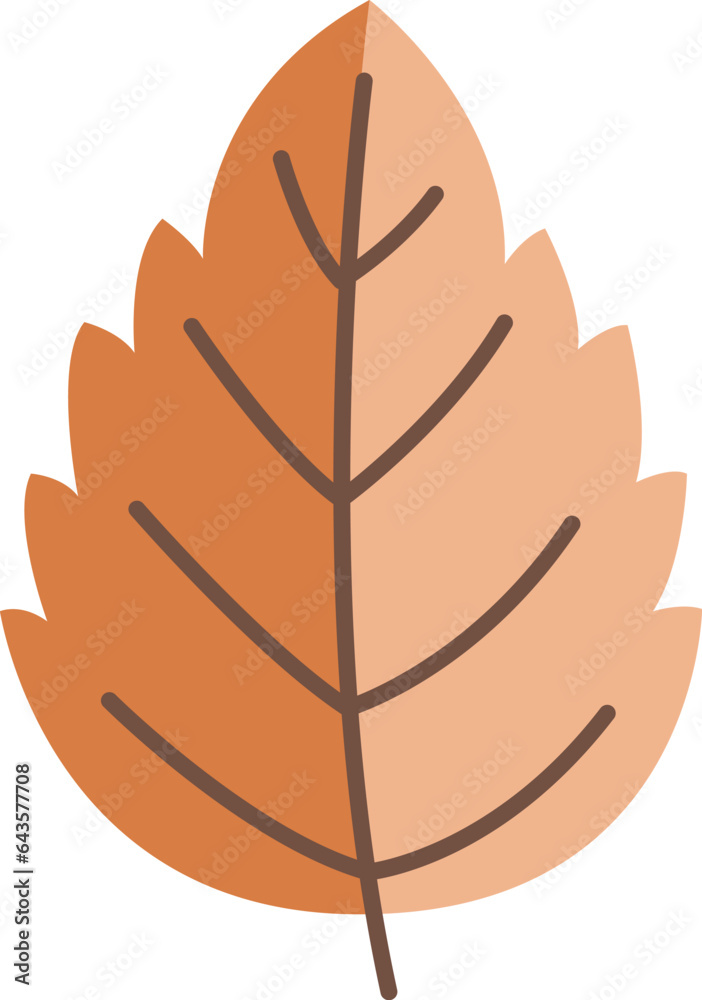 Obraz premium Floral Botanical Leaf