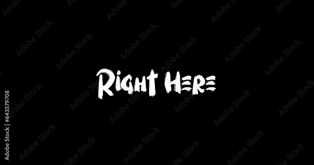 Right Here Grunge Transition Bold Text Typography Animation on Black Background Right Here Grunge Transition Bold Text Typography Animation on Black Background