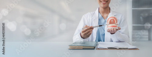 Fotografie Female dentist with dentures for explaining teeth, recommending orthodontic guidelines, dentist consulting patient's symptoms and endodontic treatment
