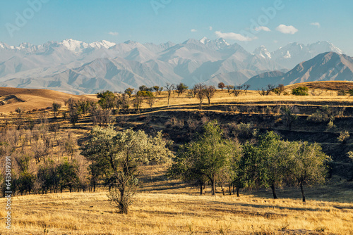 landscape in the mountains