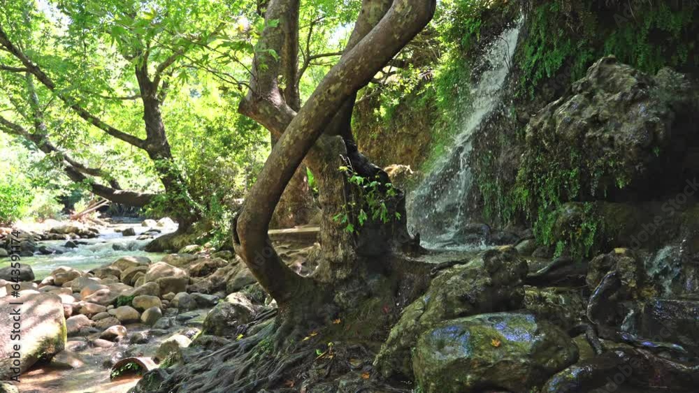 Streams in northern the Israel Hasbani River one of the source of the Jordan River Streams in northern the Israel Hasbani River one of the source of the Jordan River