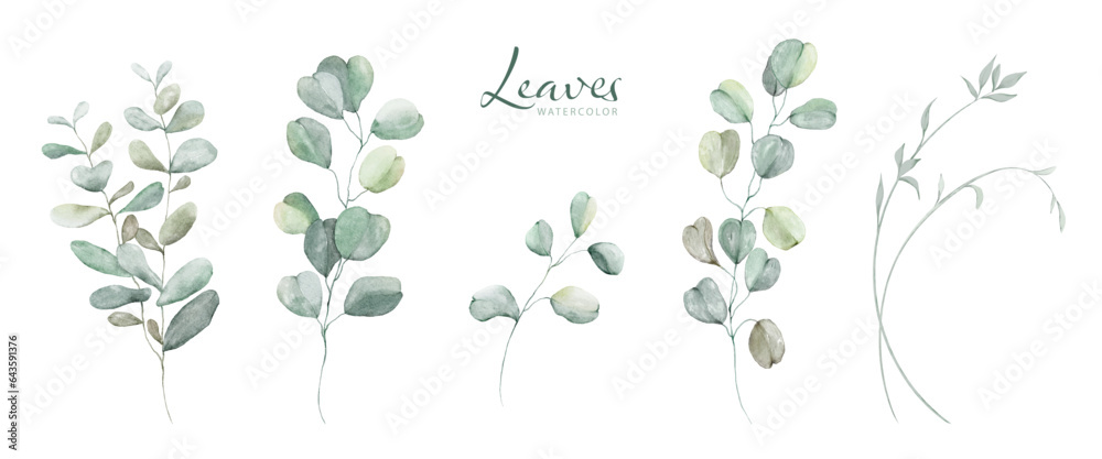 Set of Watercolor Botanical Leaves Elements Set of Watercolor Botanical Leaves Elements