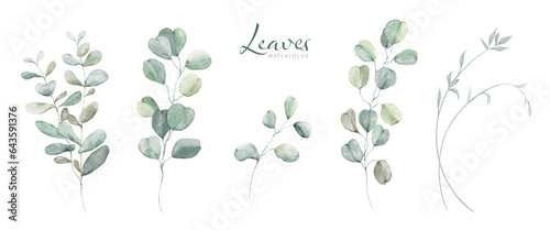 Set of Watercolor Botanical Leaves Elements