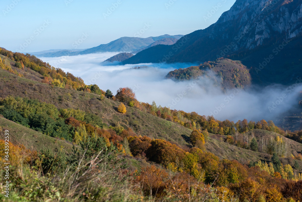 Mist in the mountains in the autumn