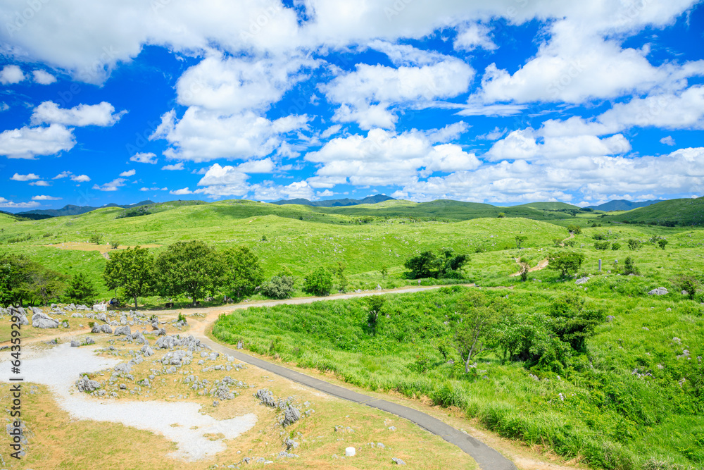 夏の秋吉台　山口県美祢市　Akiyoshidai in summer. Yamaguchi Pref, Mine City.