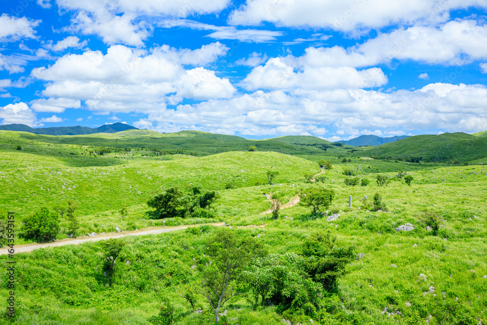 夏の秋吉台　山口県美祢市　Akiyoshidai in summer. Yamaguchi Pref, Mine City.