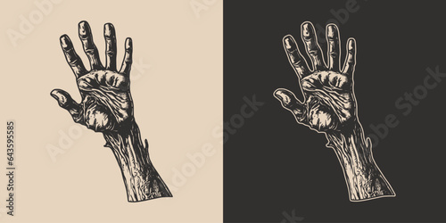 Vintage retro halloween zombie undead monster hand arm. Scary boo horror spooky illustration. Monochrome Graphic Art. Vector. Hand drawn element in engraving art