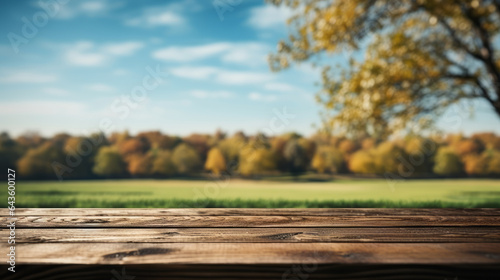 Empty wooden table with a serene meadow and trees