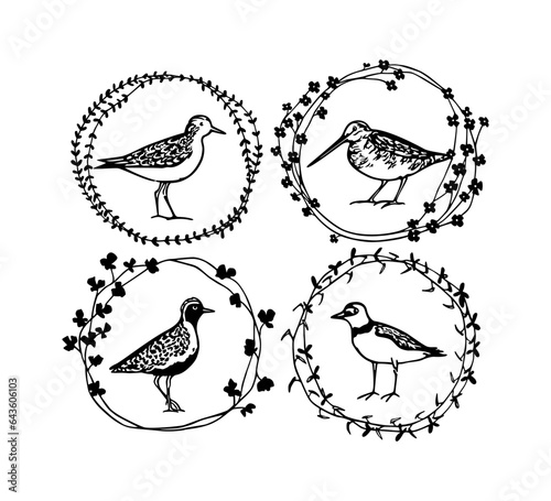 Vector card with hand drawn set of sweet waders in graceful floral wreath. Ink drawing, decorative graphic style. Beautiful animal design elements, perfect for logo design