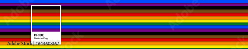 Panoramic Pride Flag Colors with Color palette concept. Color of pride, rainbow flag. Vector Illustration.
