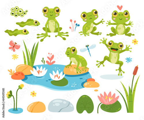 Cartoon frog amphibian mascot, tadpole, frogspawn, water lilies and beautiful pond isolated set