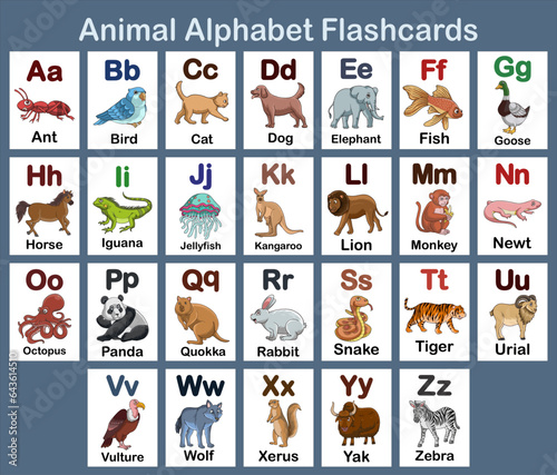 Set of Animal Alphabet flash card design illustration for kids A to Z for education and game