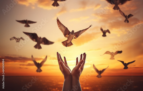 Hands open palm up worship with birds flying over calm water sunset background. Concept of praying for blessing from God.
