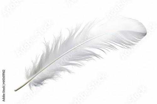 White feather isolated on transparent background - high quality PNG