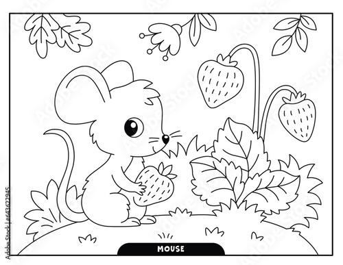 Mouse coloring pages for kids