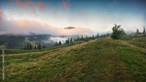 Summer morning in the Carpathian Mountains. Morning fog in the mountains. Nature of Ukraine