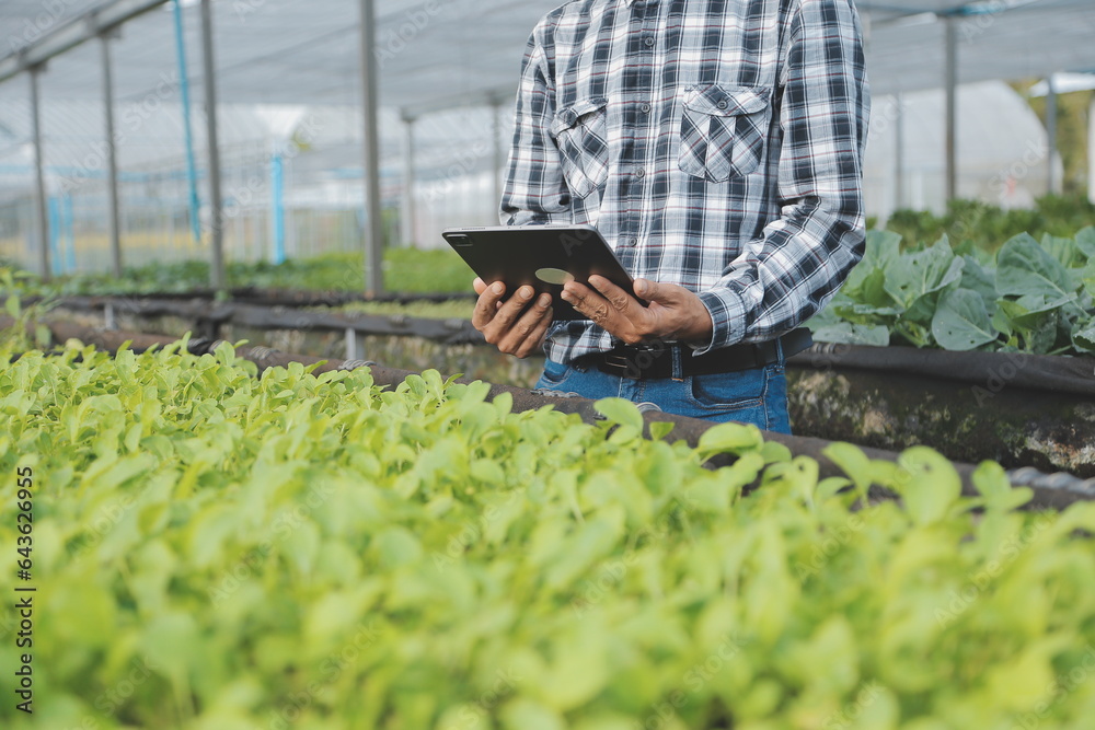 In the Industrial Greenhouse Two Agricultural Engineers Test Plants Health and Analyze Data with Tablet Computer. In the Industrial Greenhouse Two Agricultural Engineers Test Plants Health and Analyze Data with Tablet Computer.
