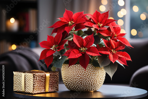 Red Christmas star poinsettia flowers in gold vase on the table in living room in holiday lights background photo