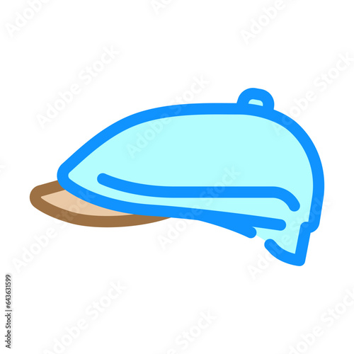 Obraz na plátně newsboy hat cap color icon vector