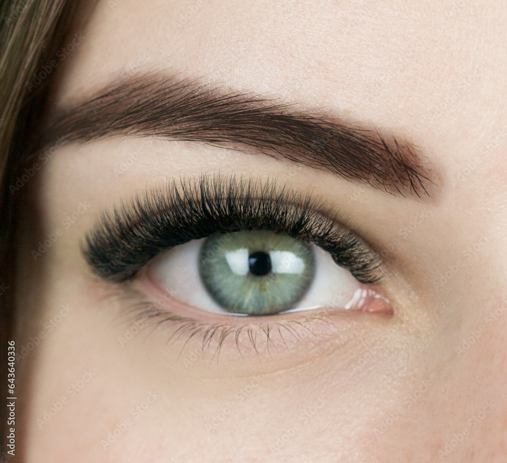 Macro shot of female green and eye with 2d 3d 4d volume long false lashes. Young woman with perfect eyes cat shape and beautiful black eyelash extensions. Closeup beauty photo of lash extension Macro shot of female green and eye with 2d 3d 4d volume long false lashes. Young woman with perfect eyes cat shape and beautiful black eyelash extensions. Closeup beauty photo of lash extension