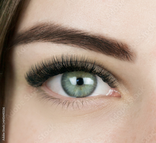 Fototapeta Naklejka Na Ścianę i Meble -  Macro shot of female green and eye with 2d 3d 4d volume long false lashes. Young woman with perfect eyes cat shape and beautiful black eyelash extensions. Closeup beauty photo of lash extension