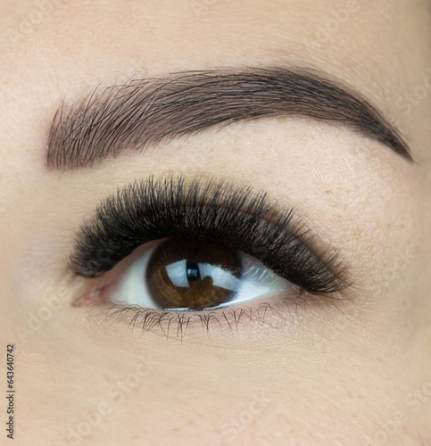 Macro shot of female dark brown eye with 2d 3d 4d mega volume long false lashes. Young woman with perfect eyes cat shape and beautiful black eyelash extensions. Closeup beauty photo of lash extension