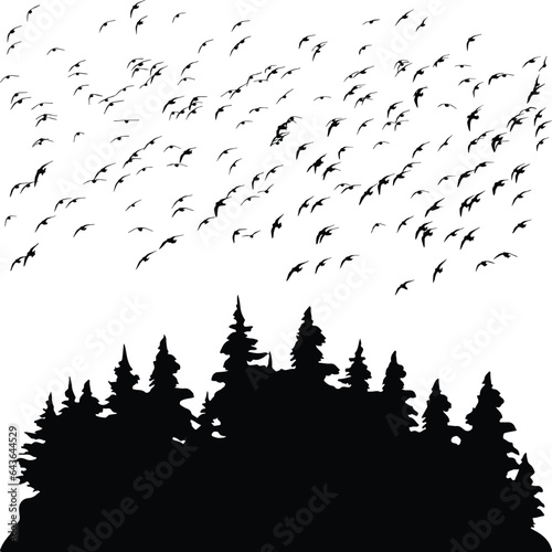 forest and flying birds silhouette