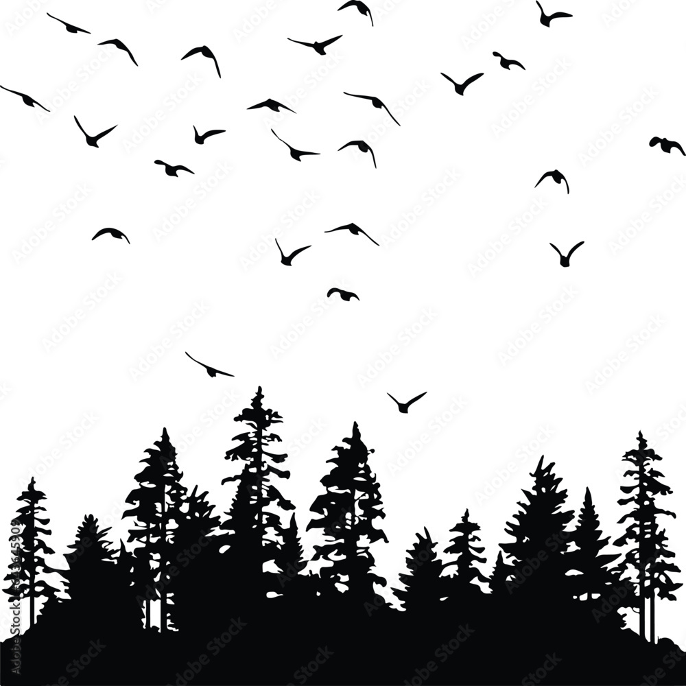 forest and flying birds silhouette