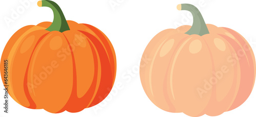 Dual-Color Pumpkin Variations - Fresh Harvest Illustration