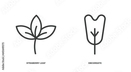 set of nature thin line icons. nature outline icons included straberry leaf, obcordate vector. photo