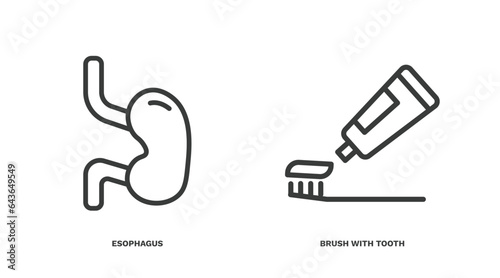 set of medical and healthcare thin line icons. medical and healthcare outline icons included esophagus, brush with tooth paste vector.