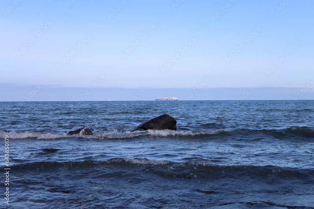 Naklejka premium Rocks in the Baltic Sea off Sellin on the island of Rügen