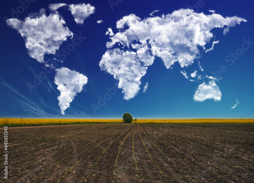 clouds in the form of a world map over a rapeseed field. Travel and landscape concept. hilly field