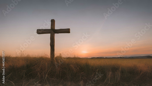 cross in the field