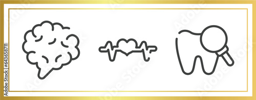 dentist outline icons set. linear icons sheet included brain body organ, pulse line, zoom on tooth vector.