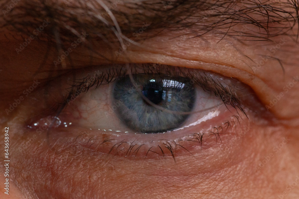Fototapeta premium Grandfather's very beautiful blue eyes with very voluminous eyebrows. A look with much longing for children.
