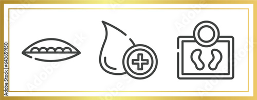 blood donation outline icons set. linear icons sheet included soya, donor, body weight vector.