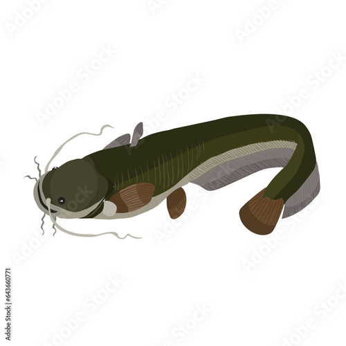 catfish, brown river fish, cartoon illustration, isolated object on white background, vector,