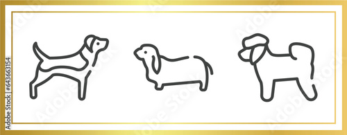 dog breeds fullbody outline icons set. linear icons sheet included beagle, bas hound, bichon vector.