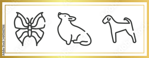 dog breeds fullbody outline icons set. linear icons sheet included leaf butterfly, corgi, airedale vector.
