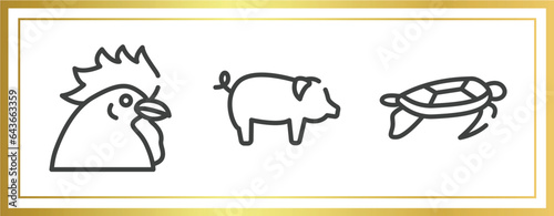 free animals outline icons set. linear icons sheet included chiken head, pig with round tail, swimming turtle vector.