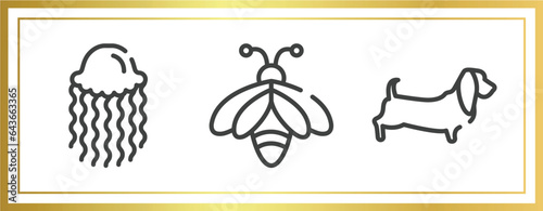 woof woof outline icons set. linear icons sheet included swimming jellyfish, big bee, dog with long ears vector.