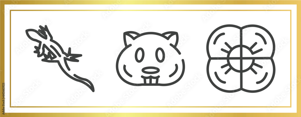 desert outline icons set. linear icons sheet included lizard, hamster, poppy vector.