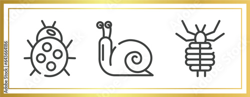 insects outline icons set. linear icons sheet included ladybug, snail, louse vector.