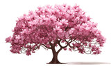 Gorgeous Magnolia Tree Isolated on Transparent PNG Background, rendering. Generative AI