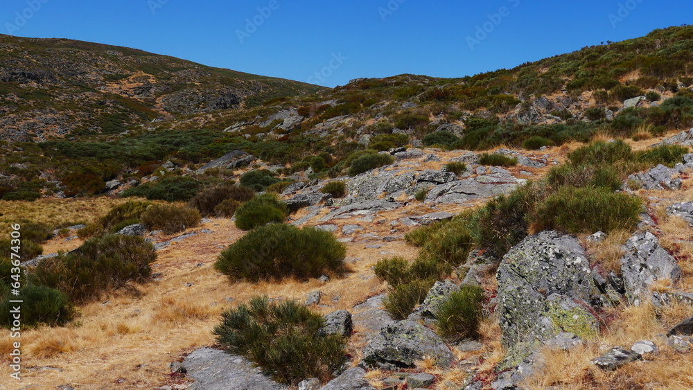 Zones montagneuses rocheuses avec de la mousse, des herbes sèches ...