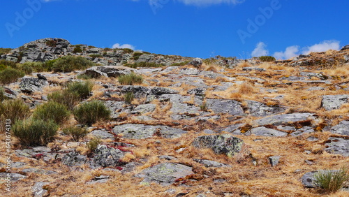 Zones montagneuses rocheuses avec de la mousse, des herbes sèches jaunes et vertes, beauté naturelle hispanique, phénomène de nature bien préservée, promenade dans un parc national, des cailloux photo