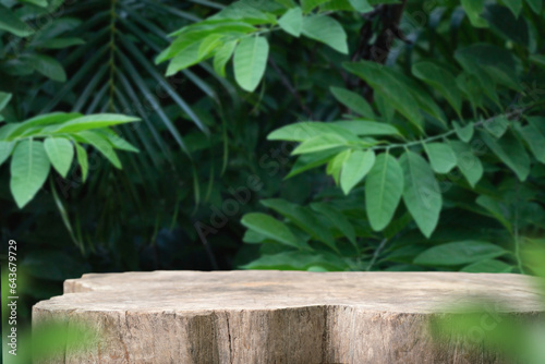 Wood tabletop podium floor in outdoors blur green leaf tropical forest nature landscape background.cosmetic natural product mock up placement pedestal stand display,jungle summer concept.