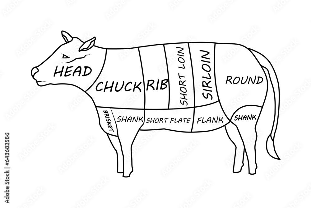 A cow divided into pieces with the name of its body parts for the ...