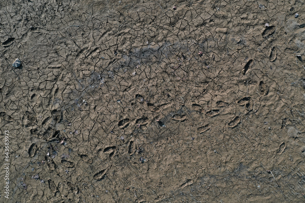 Wet silt weedy ground and footprints garbage texture Wet silt weedy ground and footprints garbage texture
